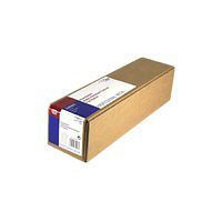 Epson Water Resistant Matte Canvas 13  x 6.1m (C13S042012)